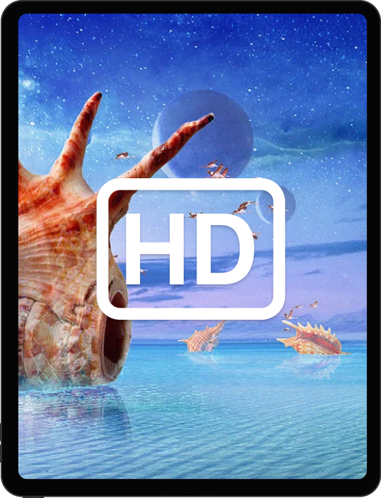 HD Quality